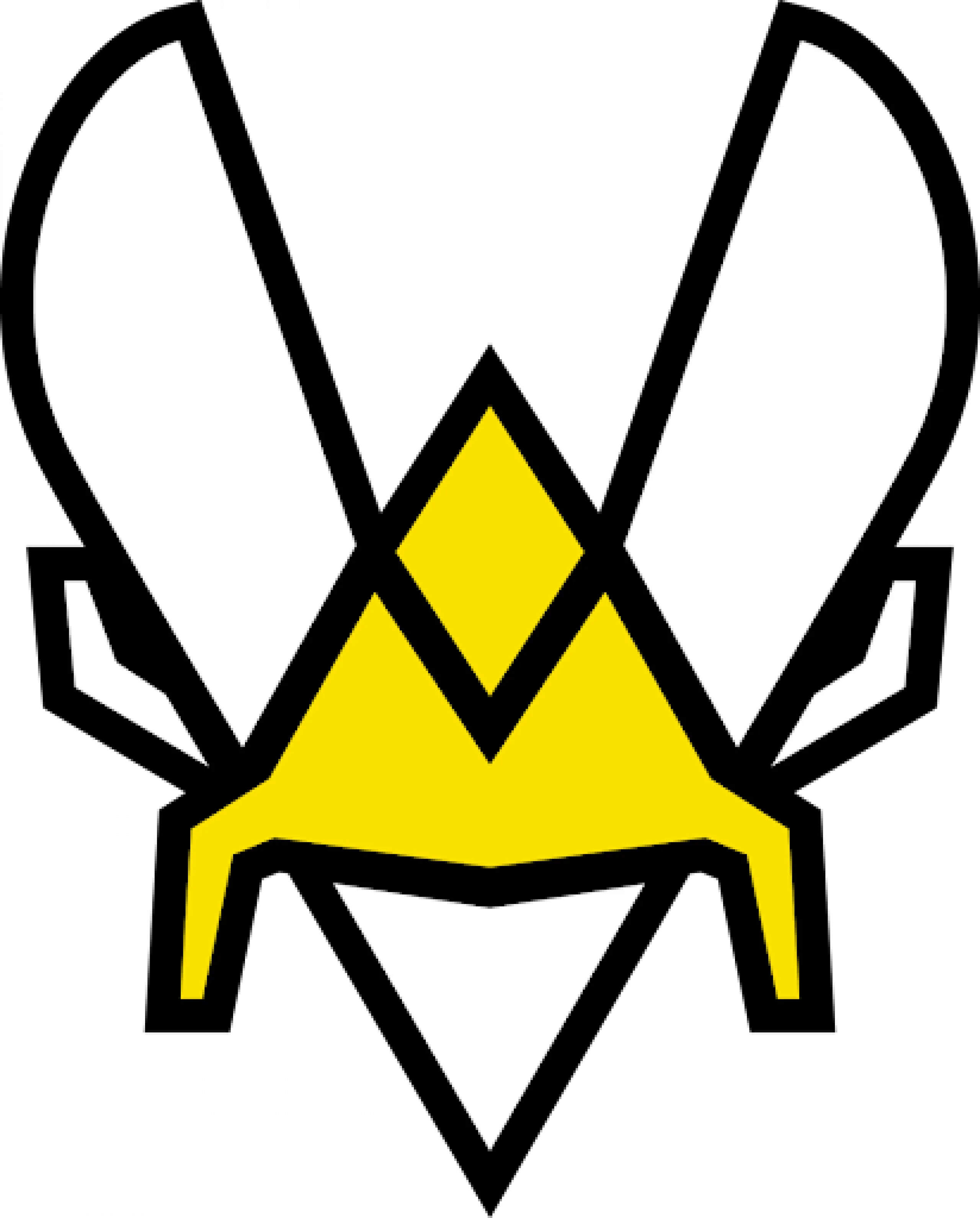 Team Vitality
